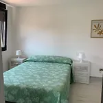 Canelas 22 * סנשנשו